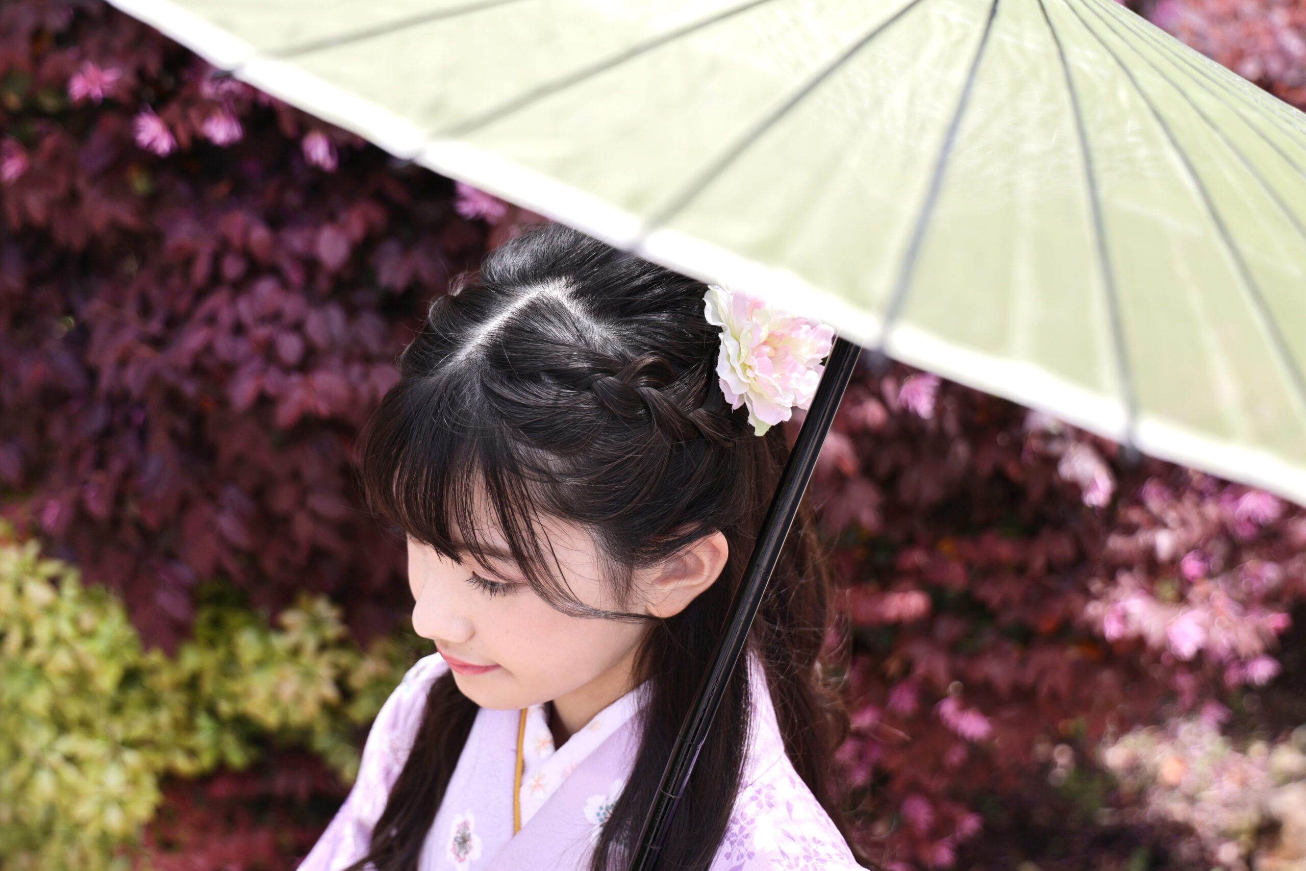 和傘を差し紅葉の植え込みを背にそっと目を伏せる着物姿の女の子