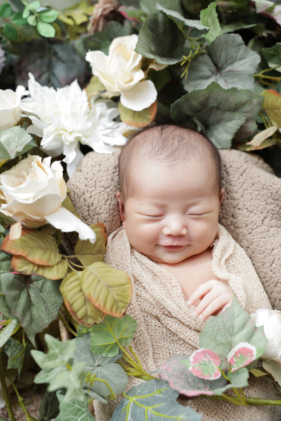白い薔薇や葉に囲まれたかごの中で微笑む表情の新生児