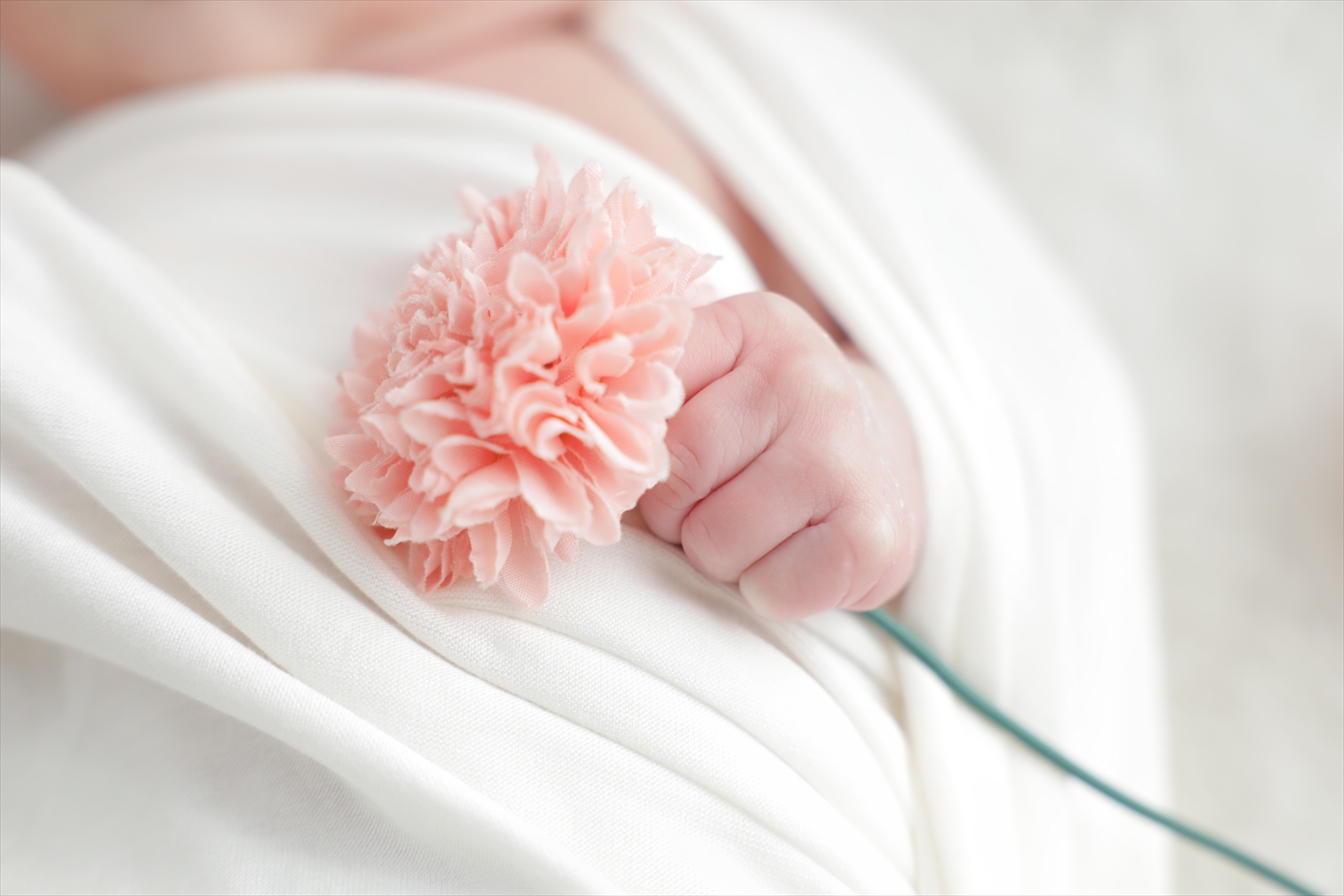 白いおくるみからのぞく小さな手が桃色の花を握るひととき