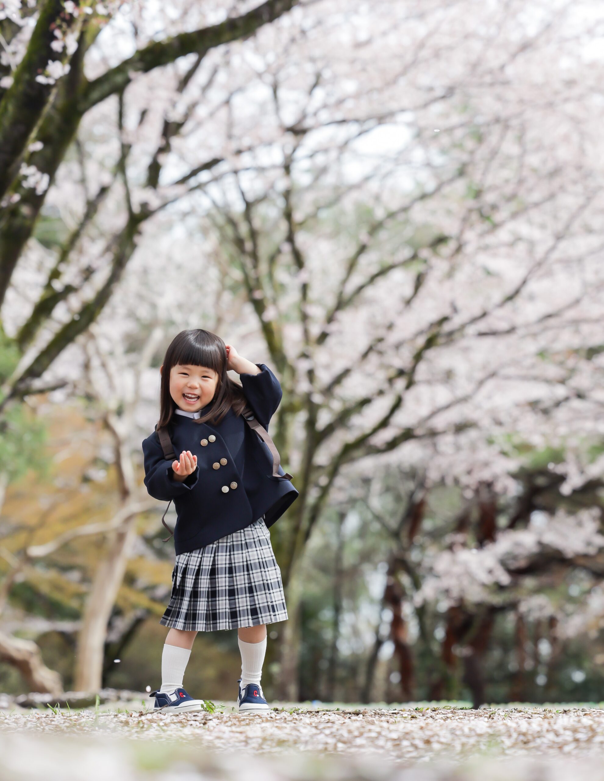桜並木の花びらの上ではにかみながら髪に手をやる園服の女の子