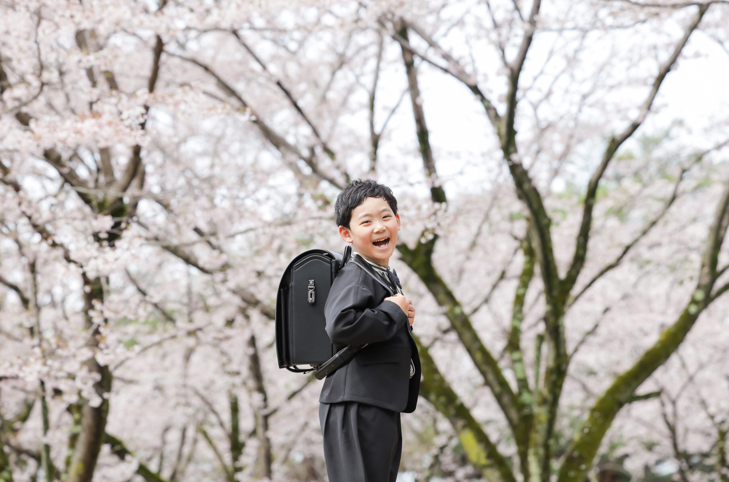 八幡山公園の桜を背に肩越しに振り返って破顔する黒いスーツの男の子